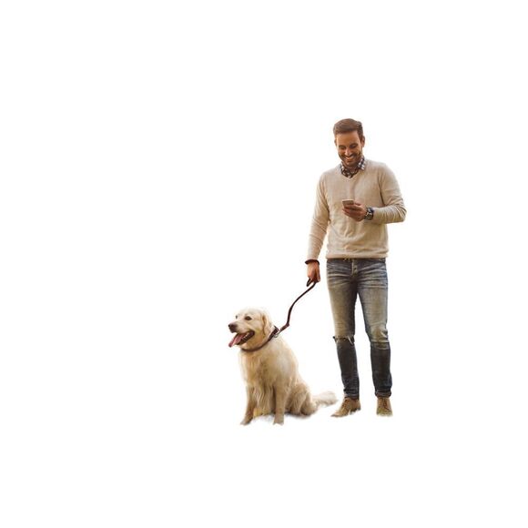 Adamonde Other - All-in-One Men's Genuine Leather Belt, Dog Collar, and Dog Leash Set